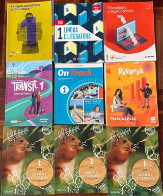 Paquete libros Instituto Santa Irene Vigo