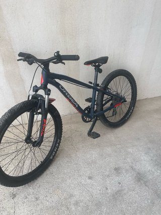 Bicicleta MTB Orbea MX 24