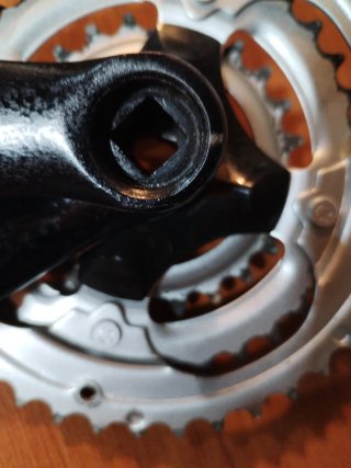 Platos Bici 24 (DT)