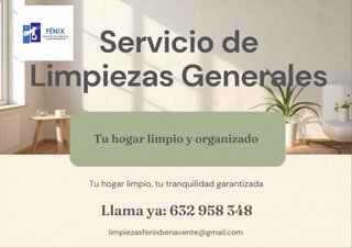 Limpiezas generales a particulares y profesionales