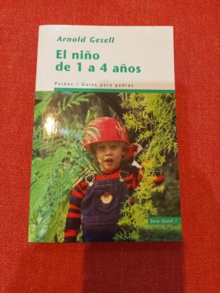 El niño de 1 a 4 años