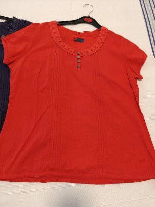 Lote 2 Blusas Mujer