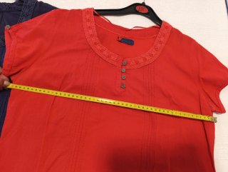 Lote 2 Blusas Mujer