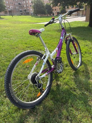 Bicicleta Trek MT220 24” 21 veloc.