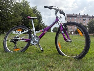 Bicicleta Trek MT220 24” 21 veloc.