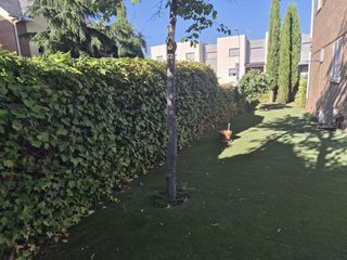 Casa adosada en alquiler en Villanueva de la Cañada en Villanueva de la Cañada