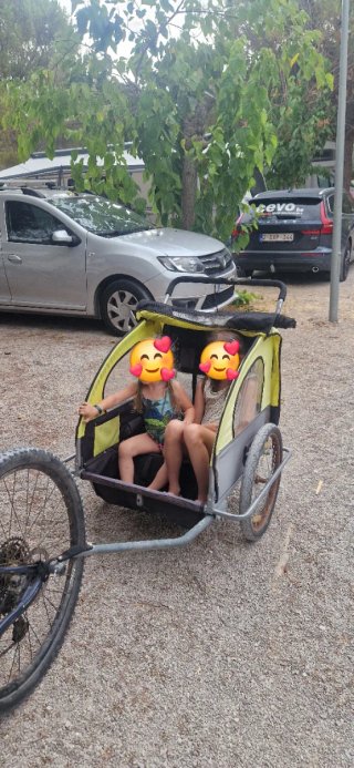 Remolque Carro Bicicleta Infantil
