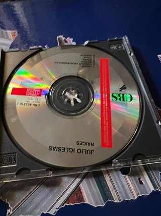 CD Raíces Julio Iglesias