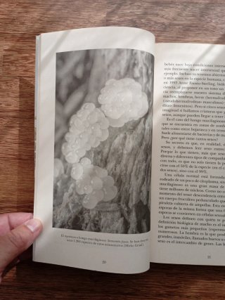 Eso no estaba en mi libro de historia natural