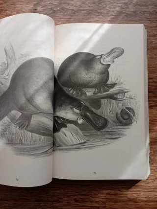 Eso no estaba en mi libro de historia natural