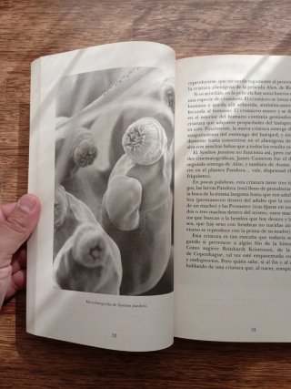 Eso no estaba en mi libro de historia natural