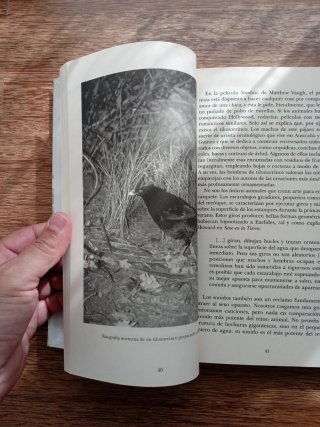 Eso no estaba en mi libro de historia natural