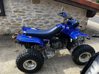 Quad Yamaha Warrior 350 (2000)