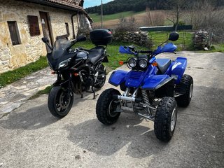 Quad Yamaha Warrior 350 (2000)