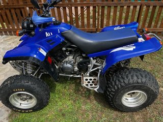 Quad Yamaha Warrior 350 (2000)
