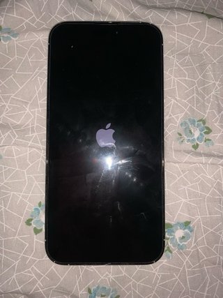 iPhone 14 Pro Max silver 128Gb