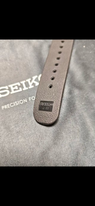 Correa Seiko 22mm