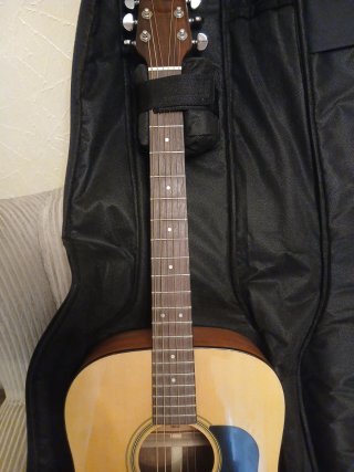 Guitarra Acústica Walden D350 + Funda