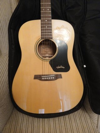 Guitarra Acústica Walden D350 + Funda