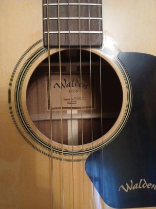 Guitarra Acústica Walden D350 + Funda