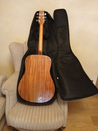 Guitarra Acústica Walden D350 + Funda