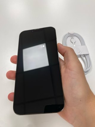 iPhone 13 Pro Max | NEGOZIO | GARANZIA