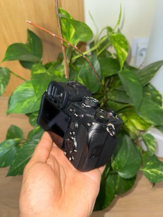 Sony Alpha a7 IV con problemas