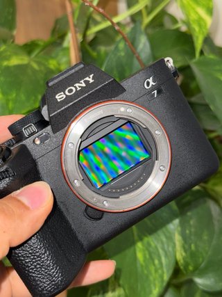 Sony Alpha a7 IV con problemas