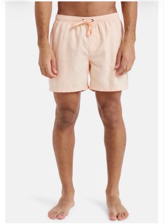 Quiksilver Everyday Solid Volley 15