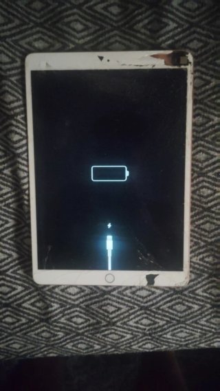 iPad 7ª Gen Dorado/Blanco