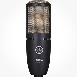 Micrófono AKG P220 Profesional