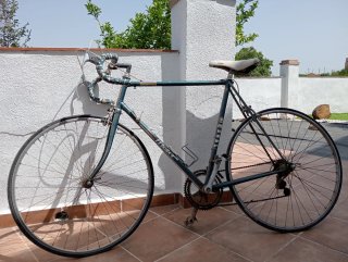 Bicicleta de carretera Moser azul