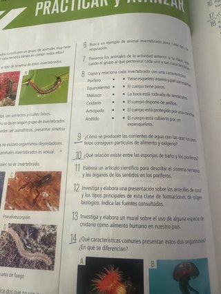 Biología Y Geología 1 ESO