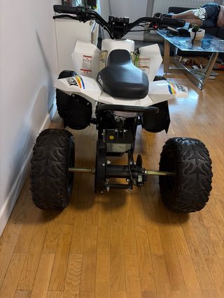 Mini Quad Roan Radix 1000w Eléctrico