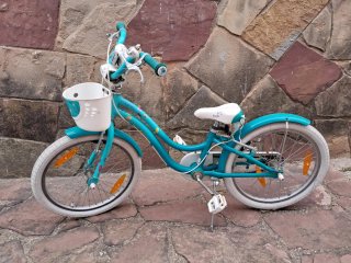 Bicicleta infantil azul con cesta