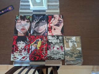Variedad de manga.