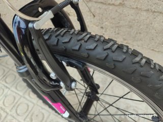 Bicicleta Niña Monty 20" Impecable