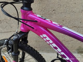 Bicicleta Niña Monty 20" Impecable