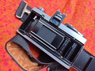 Olympus OM2N + Zapata