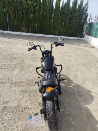 Harley Davidson Street Bob 114