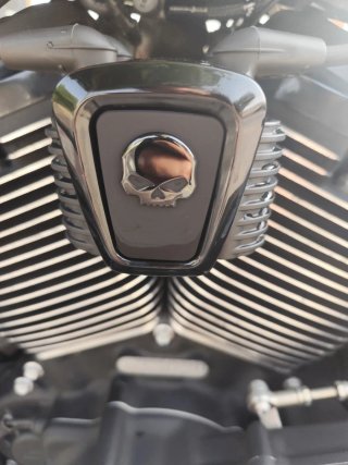 Harley Davidson Street Bob 114