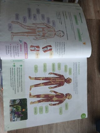 Ciencias da naturaleza, 4 Primaria, Proxecto Co...