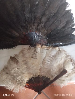 2 ventagli di tartaruga e piume