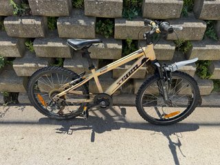 Bicicleta infantil 20 pulgadas
