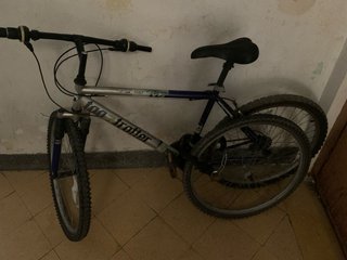Bicicleta Top Trotter