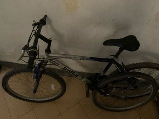 Bicicleta Top Trotter