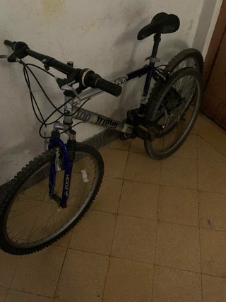 Bicicleta Top Trotter