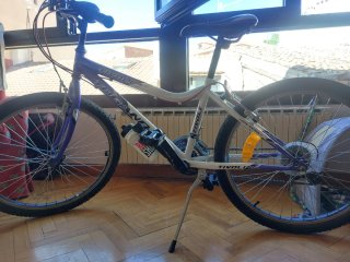 Bicicleta Infantil Tivoli 24