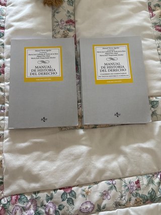 Manual de historia del derecho