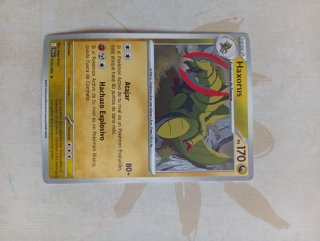 Lote de cartas Pokémon